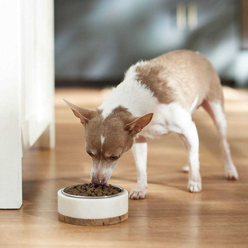 Dry Dog Food R6416