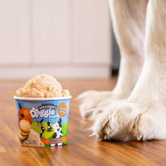 Frozen Dog Treat Pumpkin & Mini Cookies S15879