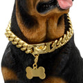 Gold Dog Chain Collar with Secure Buckle K53775