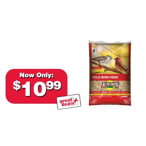 Wild Bird Food Y3553